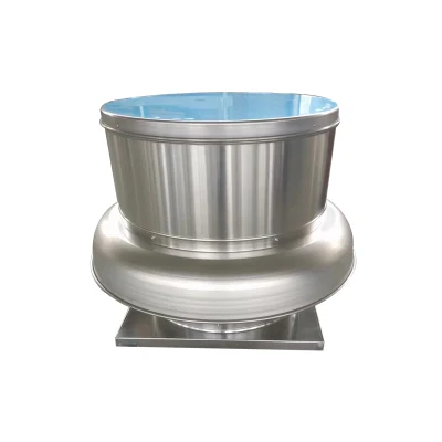 Ventilatore centrifugo in acciaio inossidabile per uso cucina Ventilatore da tetto industriale