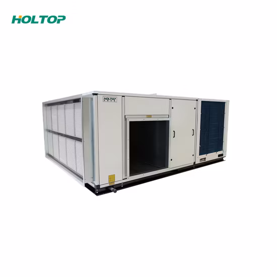 Sistema di unità di trattamento aria Holtop Rooftype Ahu
